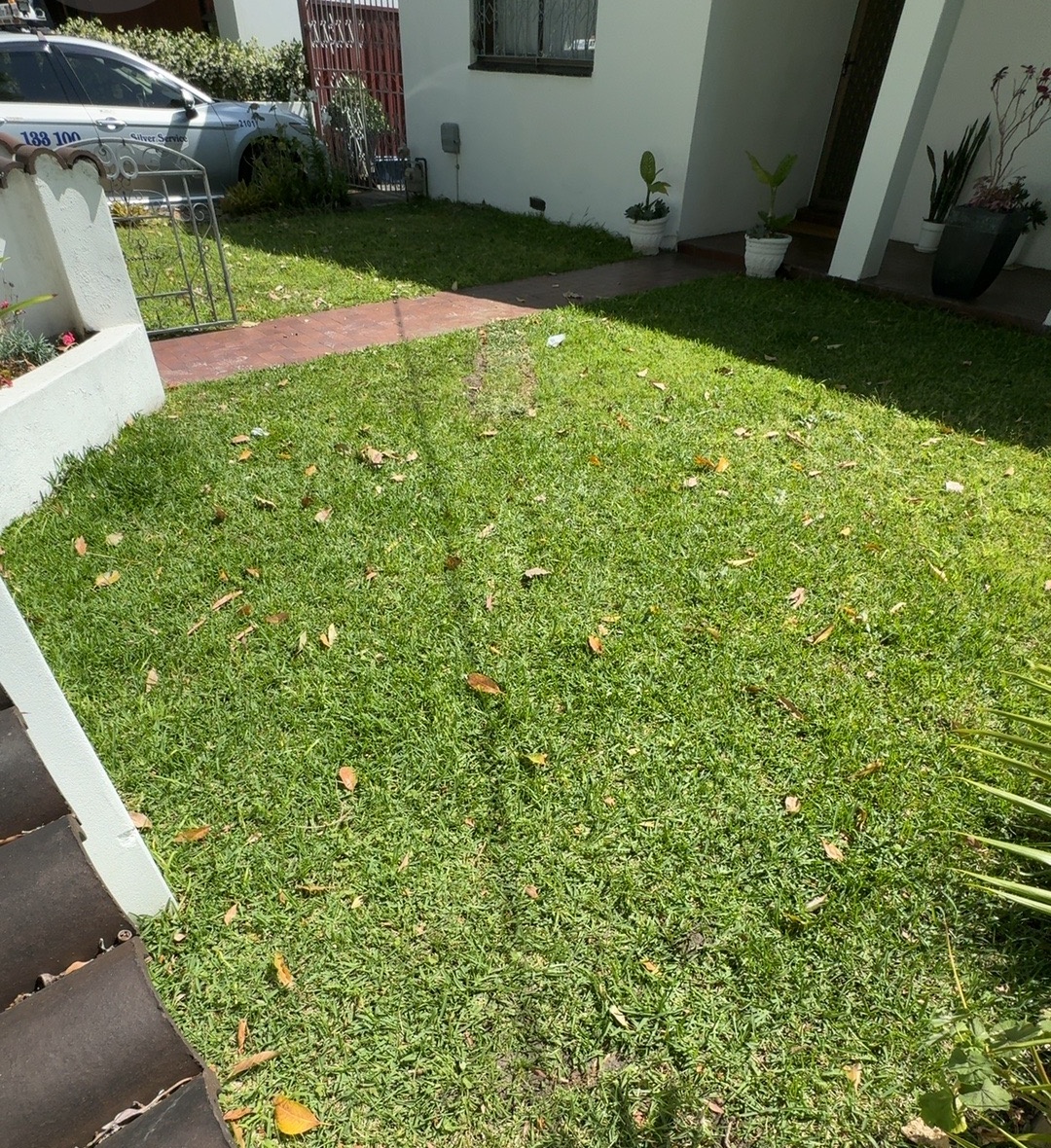 After — Excavation Rosebery